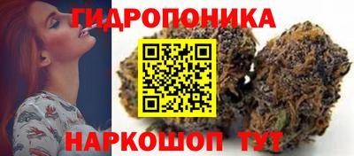 шишки Ипатово