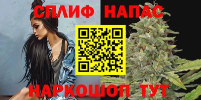 прущие грибы Изобильный