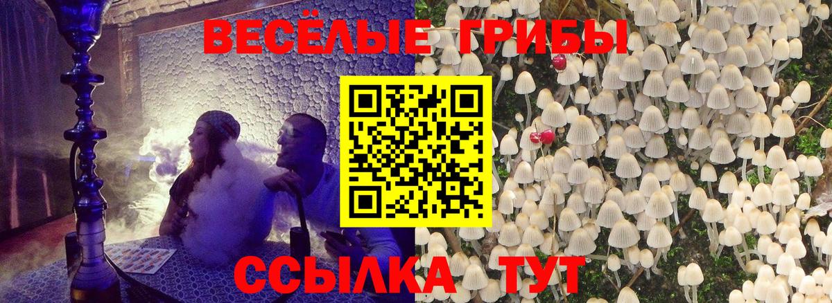 Галлюциногенные грибы мицелий Лениногорск